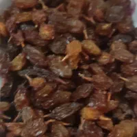 رب انار و شیره خرما و کشمش خونگی|خوردنی و آشامیدنی|دهدشت, |دیوار