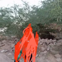 شیبان خیابان ۷ نرسیده به تصفیه آب شرب شیبان