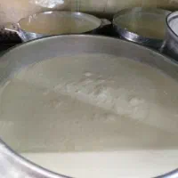 ماست گوسفندو لبنیات محلی