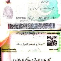 چاه کن دزد پاکستانی|اشیا|سراوان, |دیوار