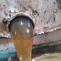 عسل کنار طبیعی به شرط مزه