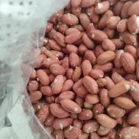 پخش بادام زمینی گیلان آستانه اشرفیه|عمدهفروشی|آستانه اشرفیه, |دیوار