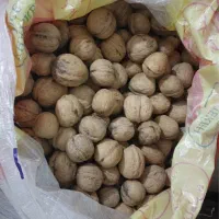 گردو و برنج|خوردنی و آشامیدنی|جم, |دیوار