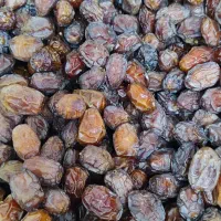 خرما تازه و مرغوب/مستقیم از نخلستان|خوردنی و آشامیدنی|شیراز, ریاستی|دیوار