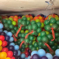 پخش عمده توپ استخری تیراژ بالا ویژه خانه‌های بازی
