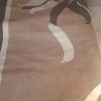 ب صورت تکی وجمعی|فرش|زابل, |دیوار