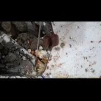 نشتیابی تشخیص بادستگاه تصویری اندیشه شهریار فردیس|خدمات پیشه و مهارت|اندیشه, شهرک المهدی|دیوار