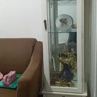 ویترین کاملا سالم بدون شکستگی وخط وخش