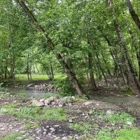 کلبه چوبی اقا ناصر رودخانه ماسال سالانه روزانه
