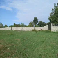 فروش-زمین-باغی
