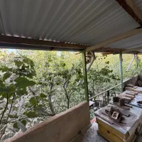 ۳۵۰ متر خونه باغ/داخل بافت/درختان ۳۰ ساله/با مجوز|فروش زمین و ملک کلنگی|کرج, برغان|دیوار