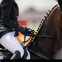 آموزش سوارکاری از مبتدی به حرفه ای