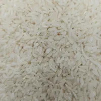 برنج اصل شمال