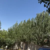 استخدام سرایدار