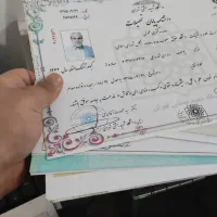 تحصیلات
