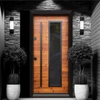 ویزیتور خانم