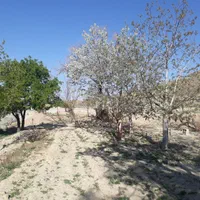 ۳۰۰ متر باغ در بیدشک نراق