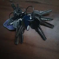 گم شده تعداد کمتر ولی همین شکل