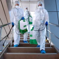 دفع حشرات سوسک سم پاشی ساس موریانه ۱۰۰% ضمانت کتبی|خدمات نظافت|اصفهان, ملک‌شهر|دیوار