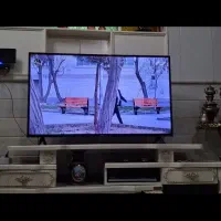 تلویزیون  ۵۰ اینچ TCL|تلویزیون و پروژکتور|مشهد, شهید معقول|دیوار