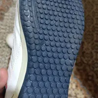 کفش کتانی سایر۴۳|کیف، کفش، کمربند|میانه, |دیوار