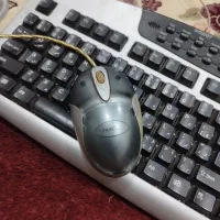 پرینتر  کامپیوتر Epson|قطعات و لوازم جانبی رایانه|شهرکرد, |دیوار