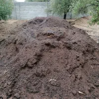 کودحیوانی گوسفندی گاوی اسبی  خاک باغ  بانیسان