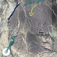 فروش مجوز پرورش مرغ گوشتی