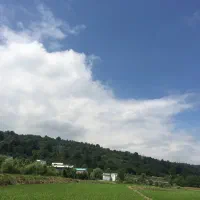 سرمایه-گذاری-مطمئن-زمین-سندرا-پلاک-0جنگل