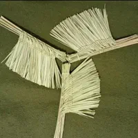جارو دستی