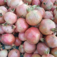 انار شیرین|عمده‌فروشی|کردکوی, |دیوار