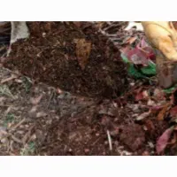 کود برگ و دامی