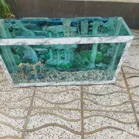 آکواریوم ارزان