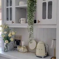 خانم جهت امور منزل