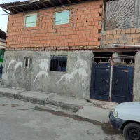 واحد۵۵متری