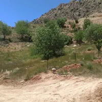 فروش زمین ۱۰۰۰ متری در کلسون ،سه چاه|فروش زمین و ملک کلنگی|شیراز, گلستان|دیوار