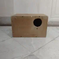 لونه عروس و طوطی سان