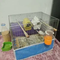 فروش سه عدد فنج