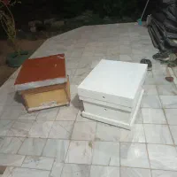 کندو زنبور