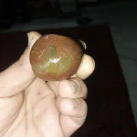 سنگ شناسان محترم قیمت پیشنهادتون رو بفرستند|کلکسیون اشیاء عتیقه|پیشوا, |دیوار