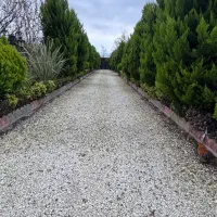 ویلا-حیاط-دار