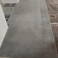 پالاز موکت|موکت|نیشابور, شهرک بسیج|دیوار