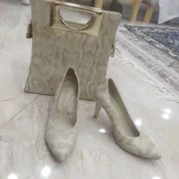 ست کیف  و کفش  مجلسی چرم پوست ماری