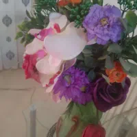 پرستارخانم