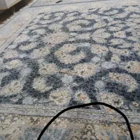 قالی ۹ متری|فرش|خمینی‌شهر, |دیوار