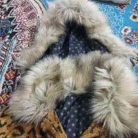 کاپشن دخترانه پلنگی|لباس|نسیمشهر, |دیوار