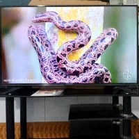 تلویزیون ال ای دی ۴۳اینچ ایکس ویژن باکارتون|تلویزیون و پروژکتور|مشهد, شهید معقول|دیوار