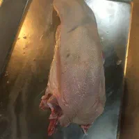 پخش گوشت زبان گوساله فیله گوساله