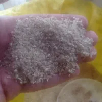 نیم دانه برنج فجر سوزنی