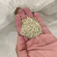 خرده برنج چمپا تمیز و خوش بود امسال